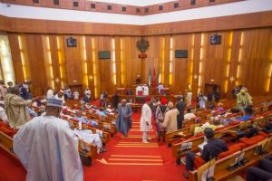 Senate probes firearms misuse and alleged killings by Customs officials