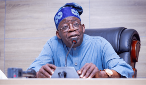 President Tinubu Appoints Coker-Odusote NIMC DG, While Yakub Makes It As Technical Corps Boss