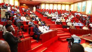 Senate Summons Budget, Finance Ministers Over Niger Delta Ministry’s Budget