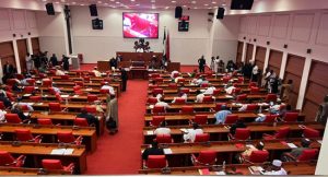  Senate unveils 45-man committee for constitution amendment