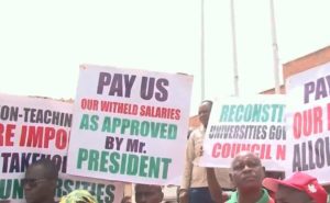  SSANU, NASU end 7-day warning strike, directs members to resume work